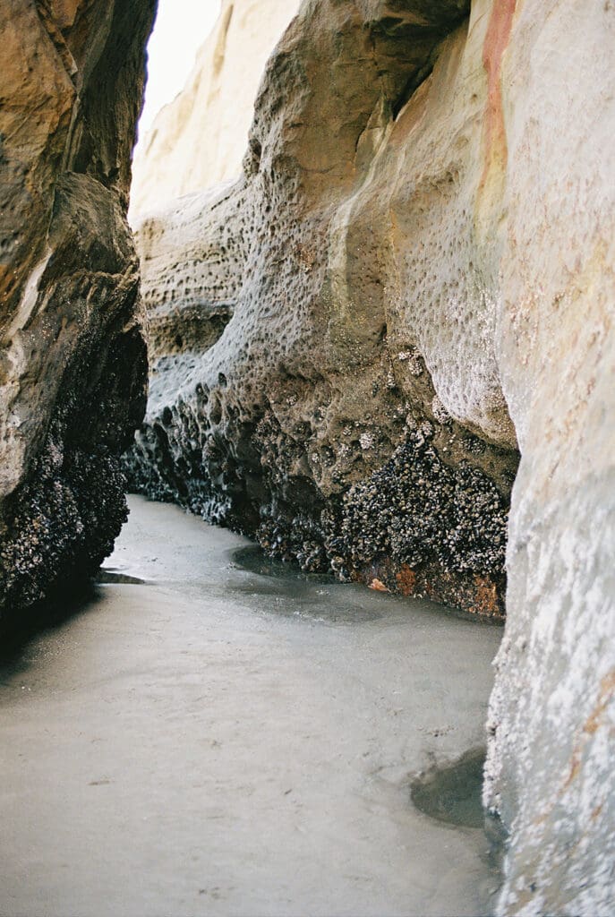 film photography