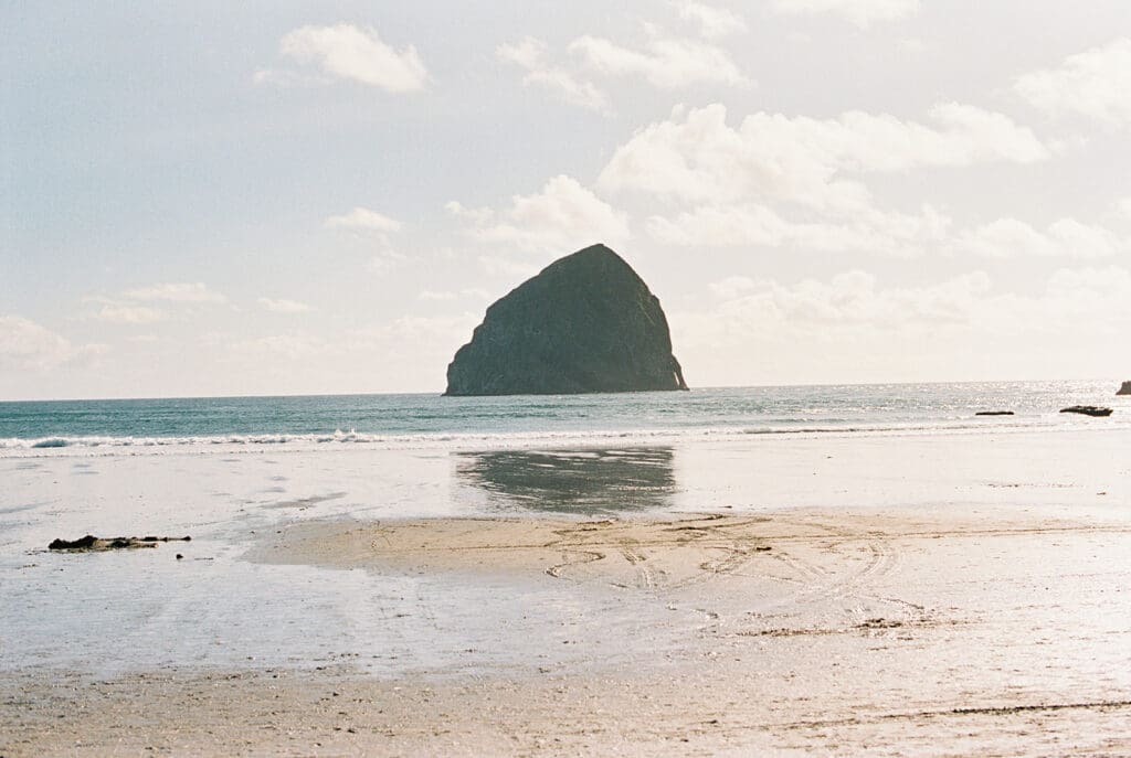 Engagement session on film
