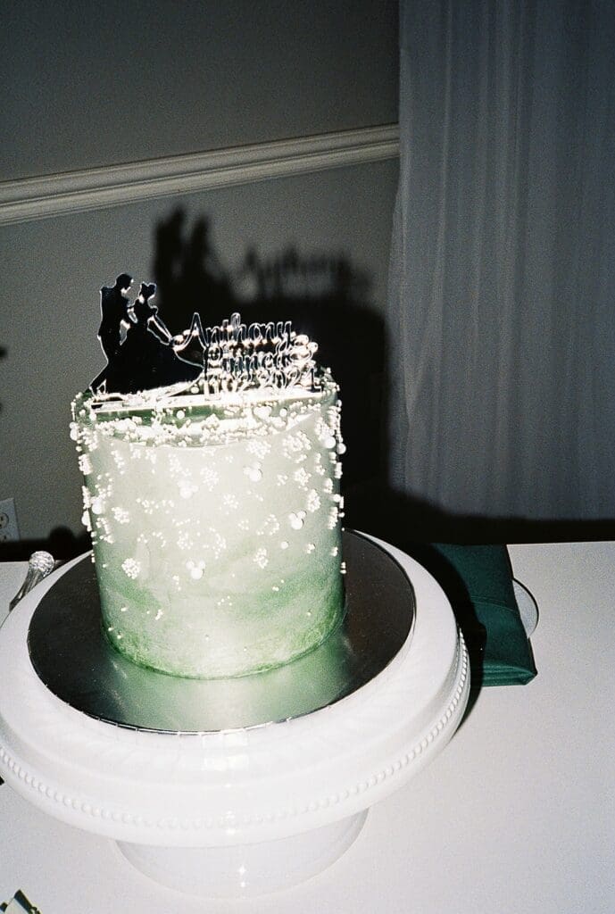 fairy tale wedding on film photos
