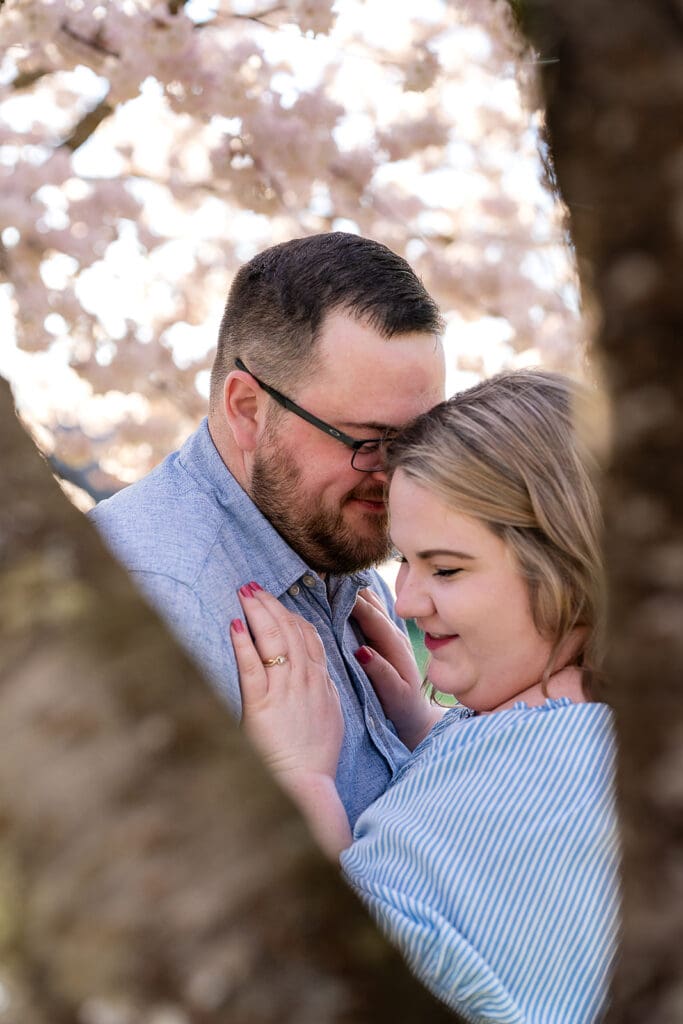 cherry blossom engagement session