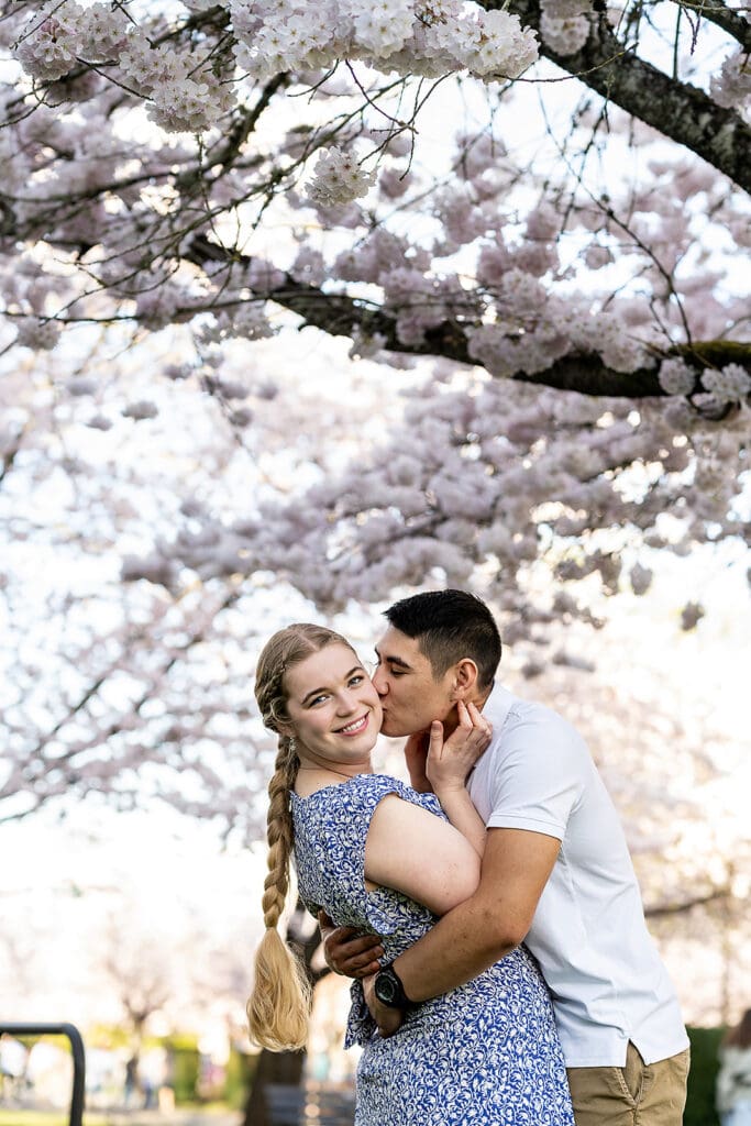 salem oregon cherry blossom