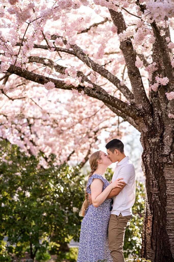 mini engagement session