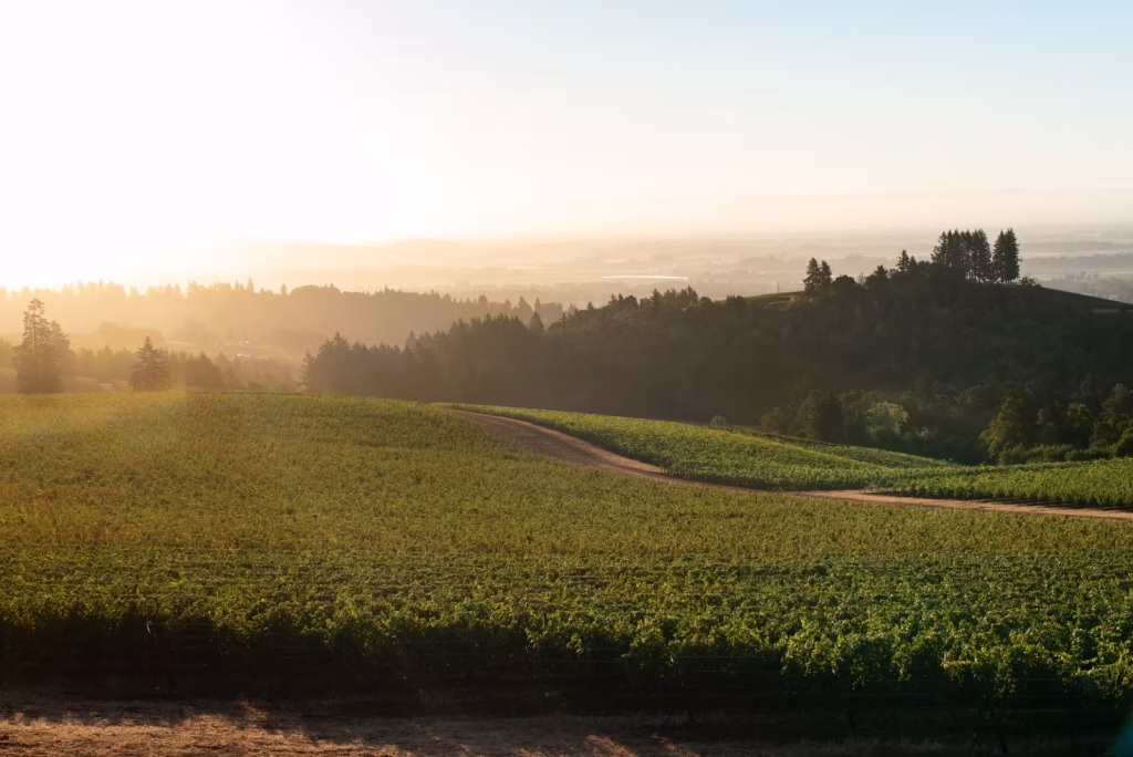 Foley wines