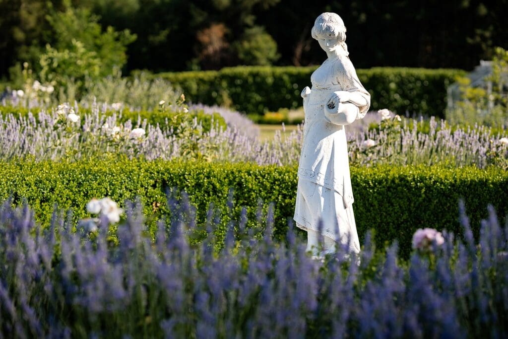 Monet vineyard lavender