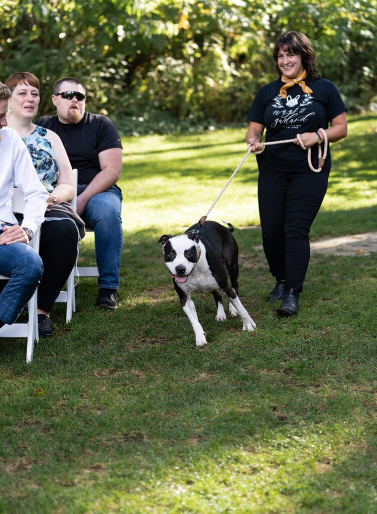 Bridal Veils Lakes Wedding Oregon with dogs
